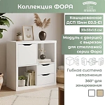 Модуль с дверцей ФОРА белый