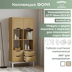 Модуль с двумя ящиками Фора дуб скандинавский 