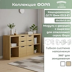 Модуль с дверцей ФОРА дуб скандинавский 