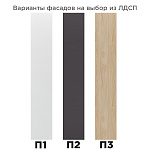 Шкаф с фасадом ЛДСП П2 модульной системы ОТИС МН-039-03 (графит/белый) 